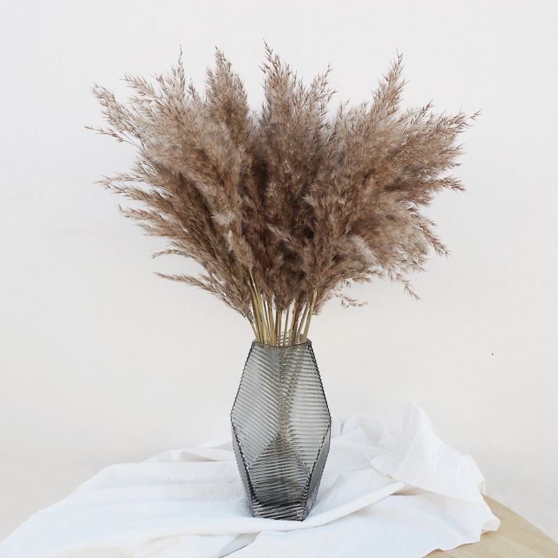 Art Craft Vase - 10 Stück Bunte Natürliche Schilfgräser Pampasgras