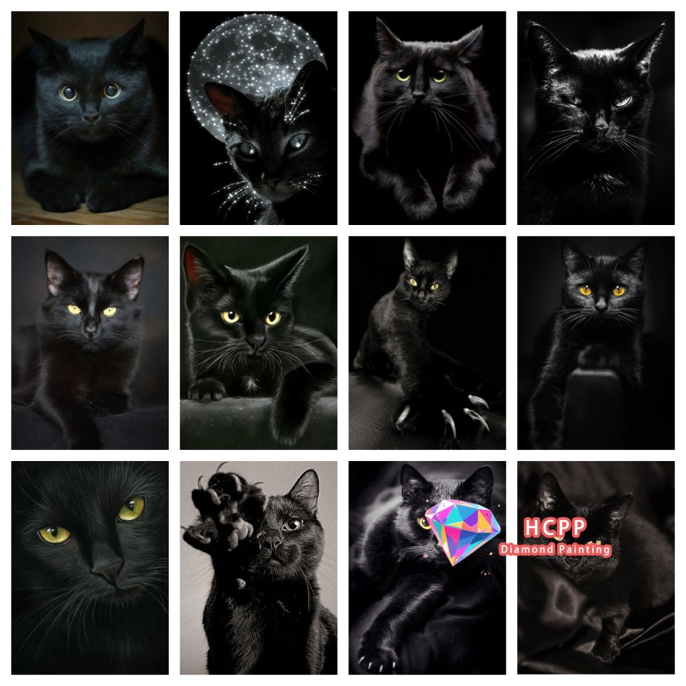 Art Craft Animals - Ungerahmtes Diamant-Malset mit schwarzer Katze, quadratische