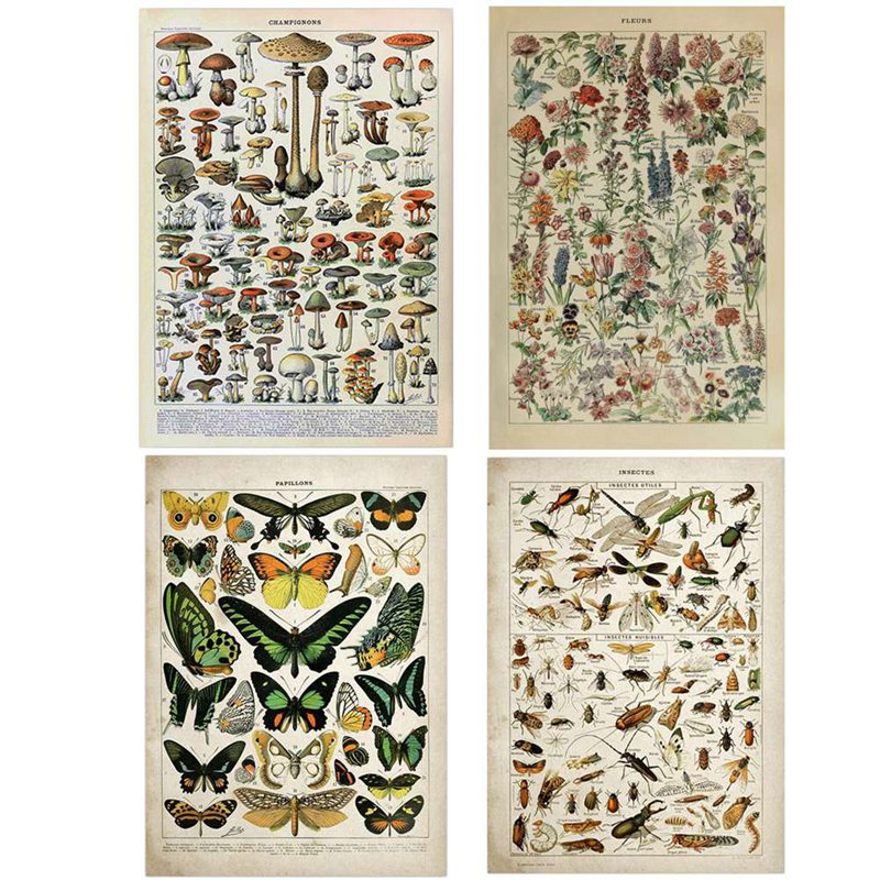 Art Craft Butterfly - Vintage Adolphe Millot Enzyklopädie Leinwandgemälde Schmetterlinge