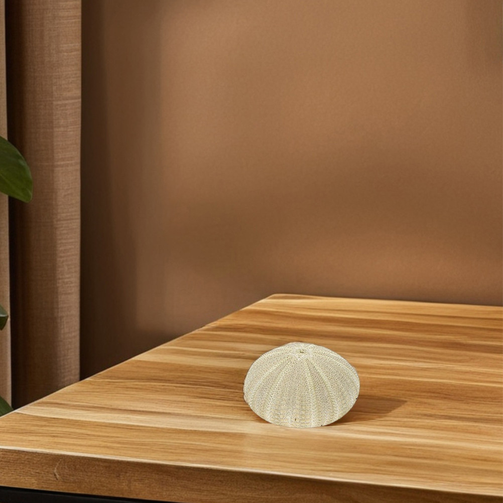 18 Stück Seeigel-Muscheln als  – Art Craft Vase Bewertung und Preis