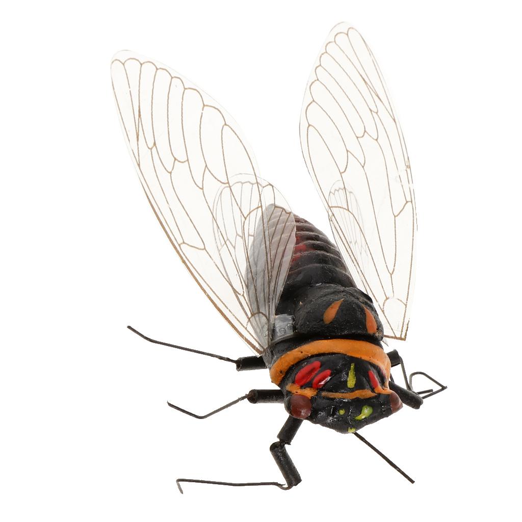 2x Ton Insekten Modell Kühlsch – Art Craft Magnet Bewertung und Preis