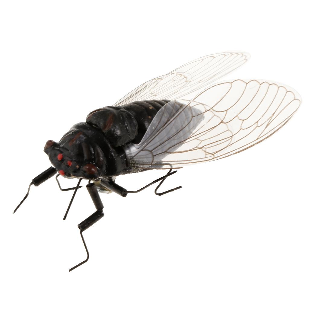 2x Ton Insekten Modell Kühlsch – Art Craft Magnet Bewertung und Preis