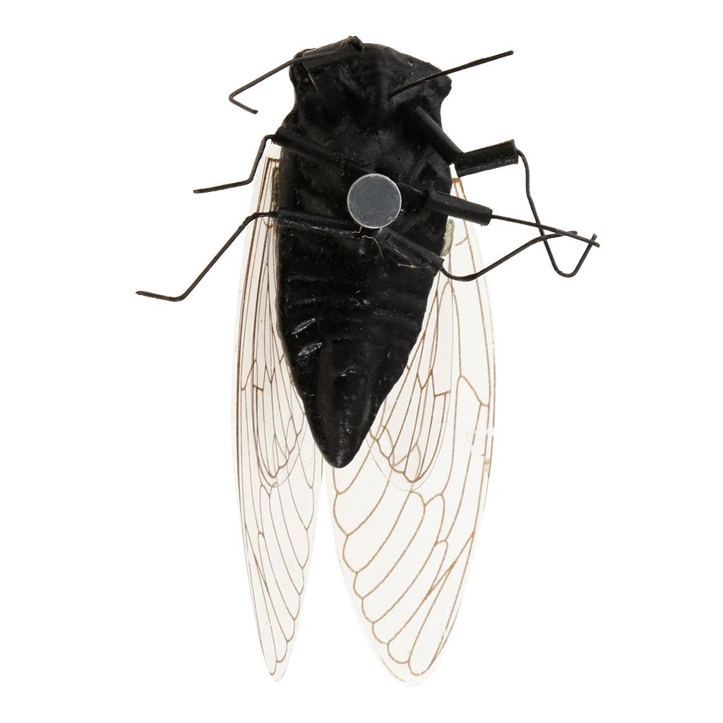2x Ton Insekten Modell Kühlsch – Art Craft Magnet Bewertung und Preis