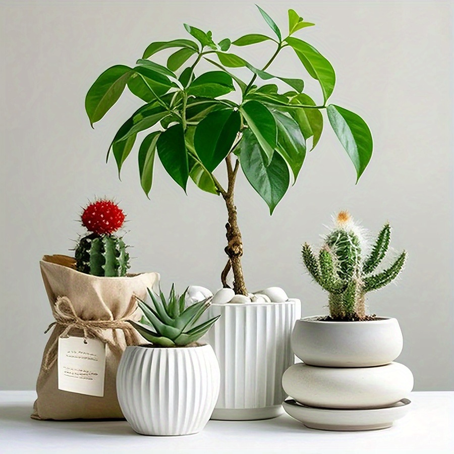 200/400g weiße hochglanzpolier – Art Craft Vase Bewertung und Preis