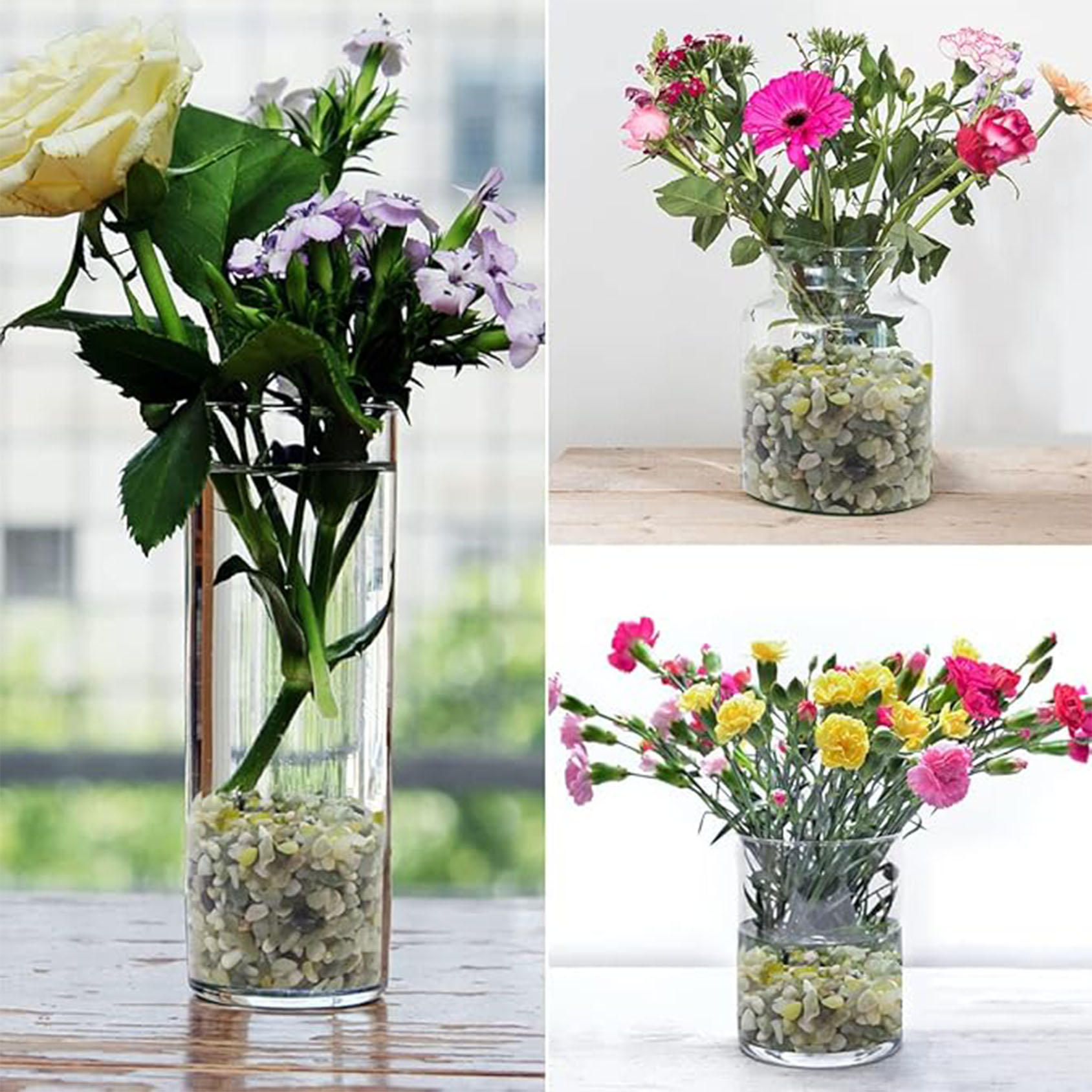 Sukkulenten und Kaktus-Kiesels – Art Craft Vase Bewertung und Preis