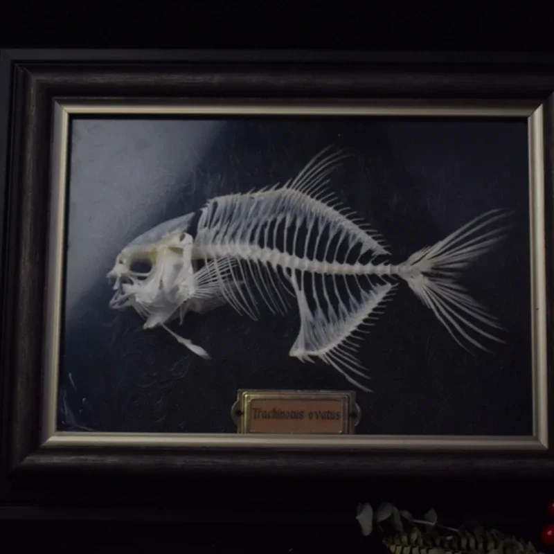 2021 Goldenes Pomfret-Fisch-Sk – Art And Craft Science Bewertung und Preis