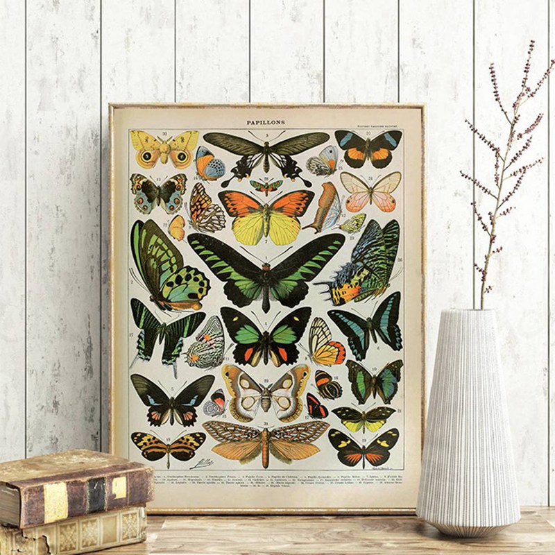 Vintage Adolphe Millot Enzyklo – Art Craft Butterfly Bewertung und Preis